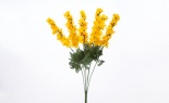   Delphinium Bush X6 Delp