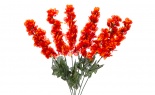   Delphinium Bush X6 Delp