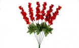   Delphinium Bush X6 Red