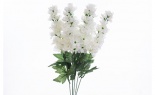   Delphinium Bush X6 Whit