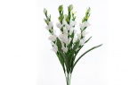   Satin Glad Bush X7 Whit