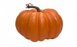  230 Mm Pumpkin Tt Orange