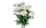  Daisy Bush X12