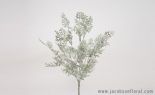  Dusty Miller X9 Natural