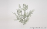  DUSTY MILLER X9 NATURAL