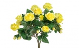 Eternity Rose Bush X12