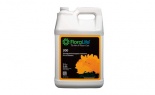  FLORALIFE CLEAR 200 STOR